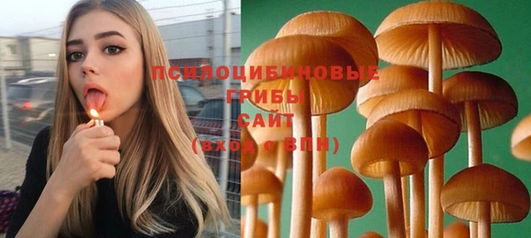 хмурый Алексеевка