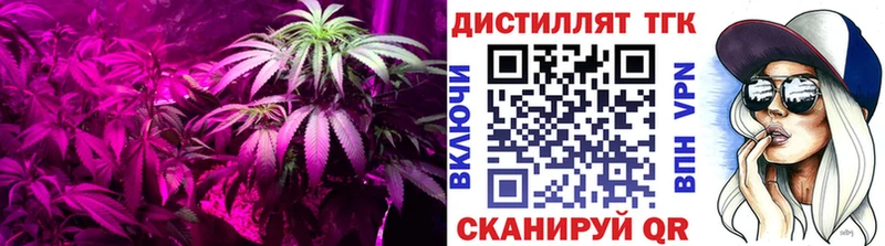 Дистиллят ТГК концентрат  Советский 