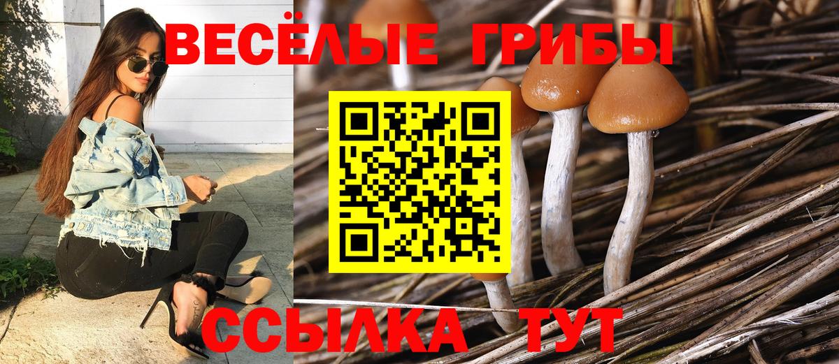 Псилоцибиновые грибы прущие грибы  Вход с VPN  Советский 