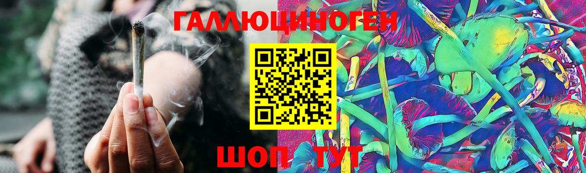 Псилоцибиновые грибы Cubensis Советский